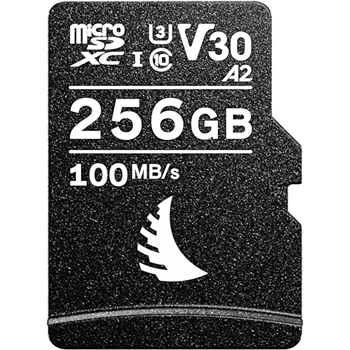 SD Memory Card